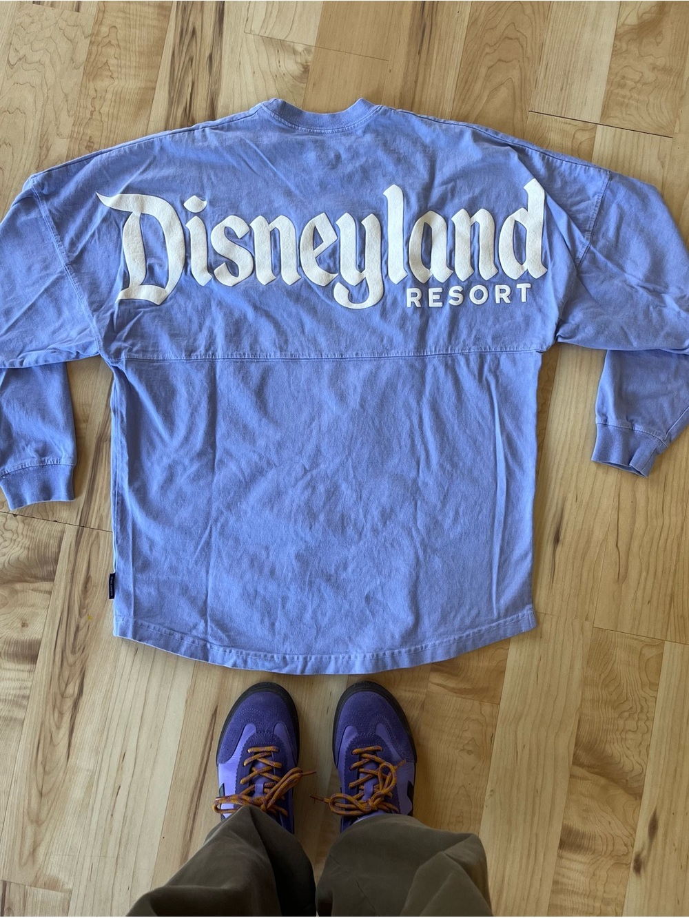 Disneyland Resort Womens Long Sleeve Shirt - Periwinkle